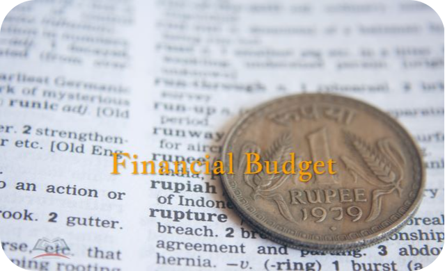 Financial Budget